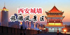 www襙中国陕西-西安城墙旅游风景区